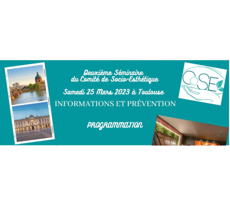 Deuxième séminaire du Comité de Socio-esthétique 