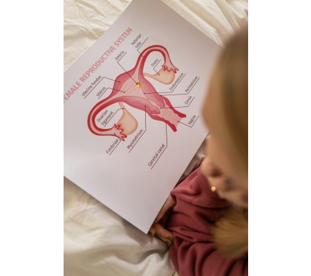 EndOccitanie : 3ᵉ journée de formation dédiée à l’endométriose